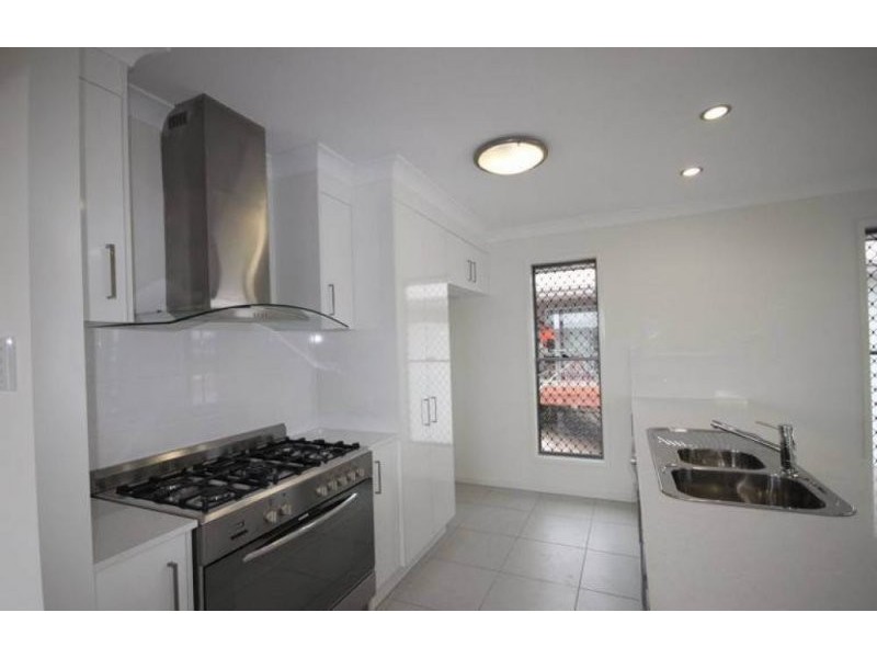 19 Greentrees Terrace, Springfield Lakes QLD 4300