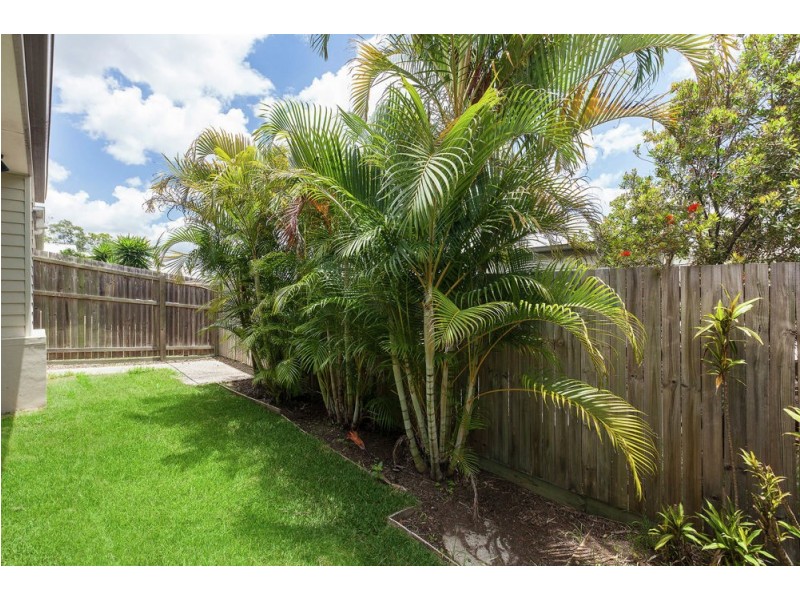 59 Carnarvon Avenue, Springfield Lakes QLD 4300