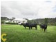 52 Praise Mountain Road, Narangba QLD 4504