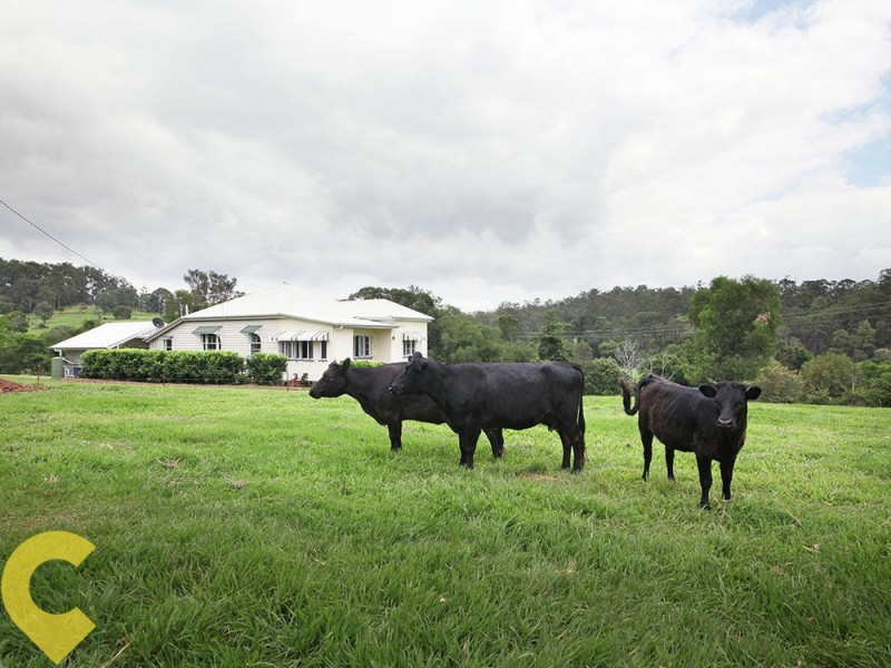 52 Praise Mountain Road, Narangba QLD 4504