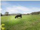 52 Praise Mountain Road, Narangba QLD 4504