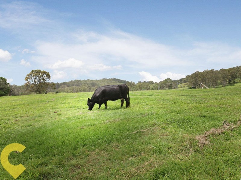 52 Praise Mountain Road, Narangba QLD 4504