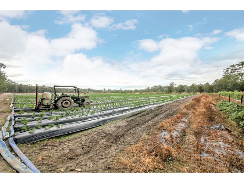 227 Smiths Road, Caboolture QLD 4510