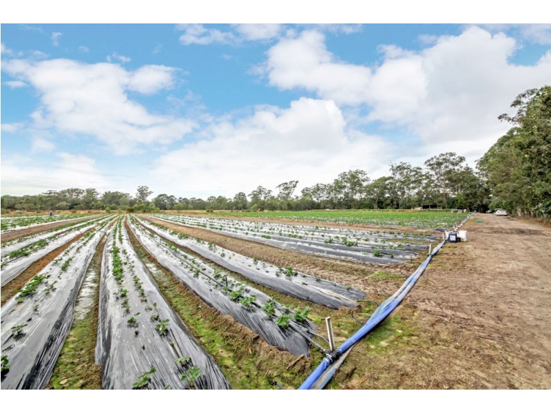 227 Smiths Road, Caboolture QLD 4510