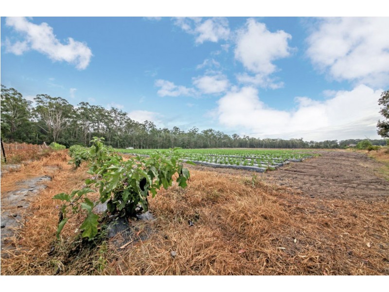 227 Smiths Road, Caboolture QLD 4510