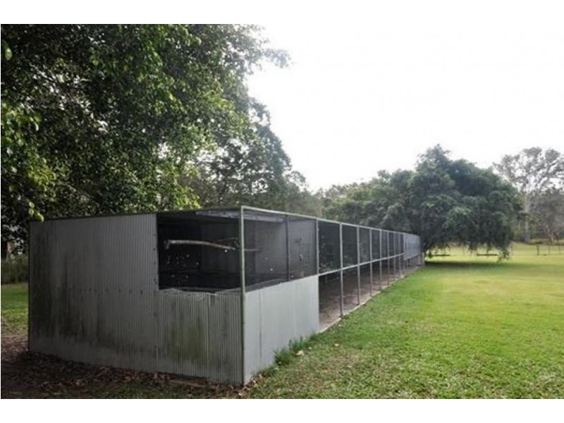 5 Wheaton Street, Narangba QLD 4504