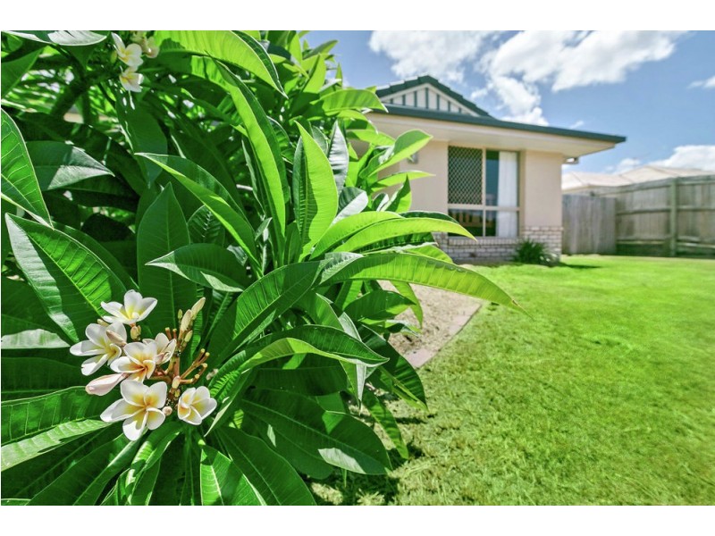 15 Acemia Drive, Morayfield QLD 4506