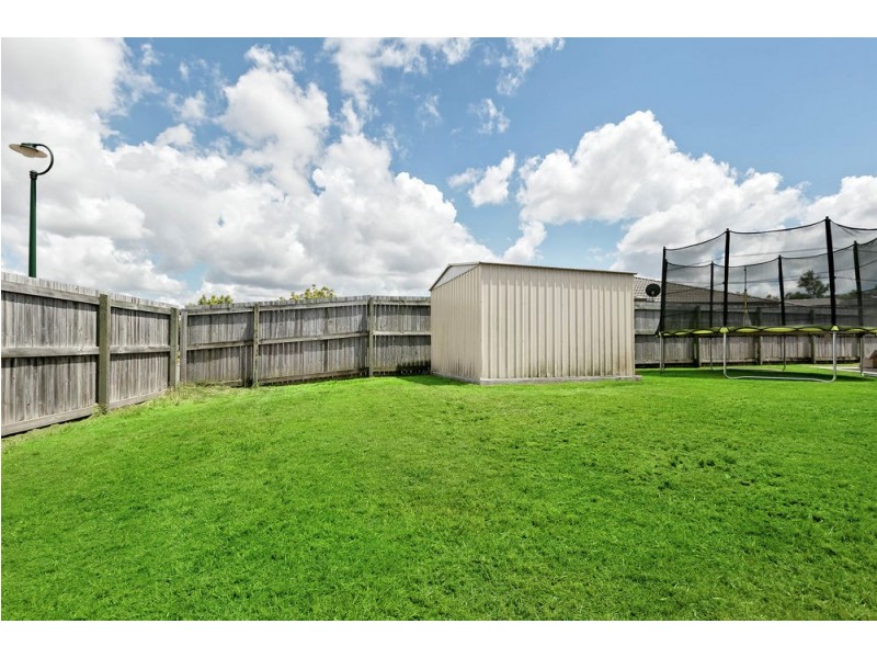 15 Acemia Drive, Morayfield QLD 4506