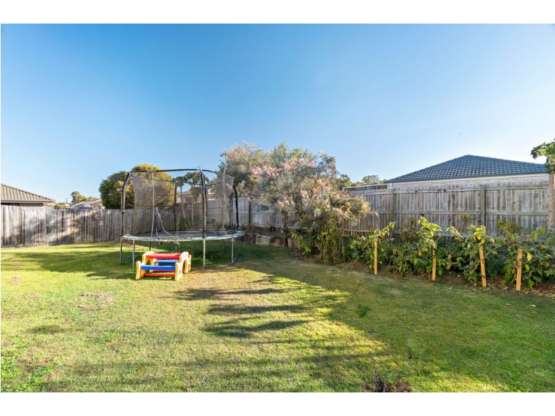 11 Wollemi Court, Morayfield QLD 4506