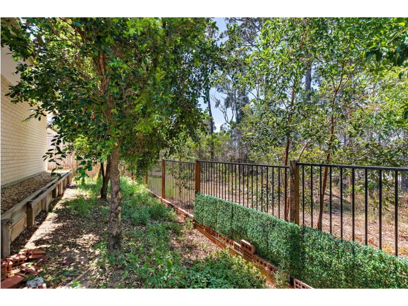 17 Lisa Crescent, Coomera QLD 4209