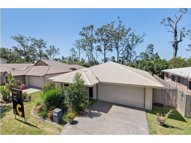 17 Lisa Crescent, Coomera QLD 4209