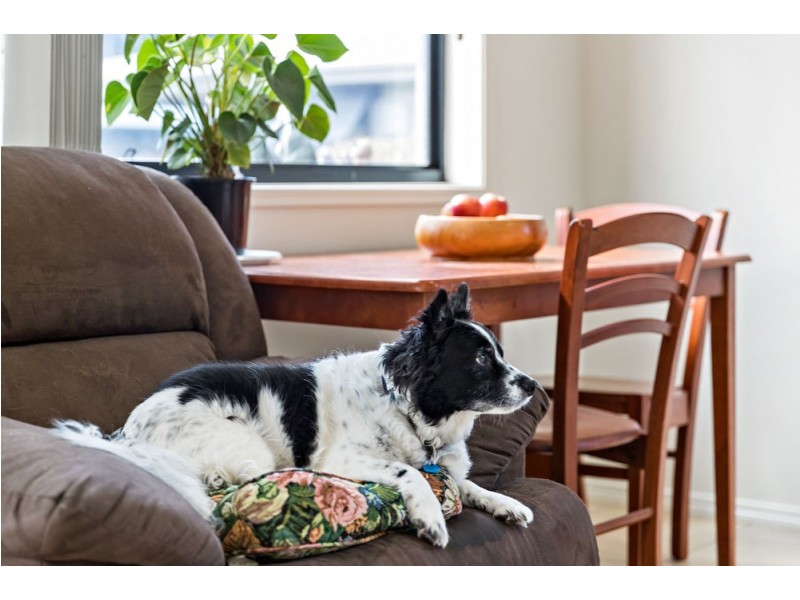 11/466 Steve Irwin Way, Beerburrum QLD 4517