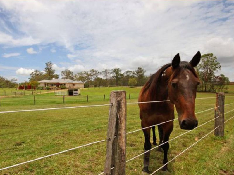 813 Old Gympie Road, Elimbah QLD 4516