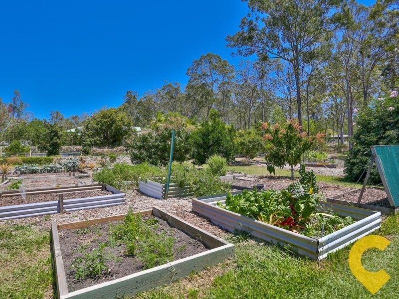 501 Oakey Flat Road, Morayfield QLD 4506