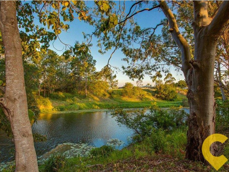 13 Moloney Place, Bellmere QLD 4510