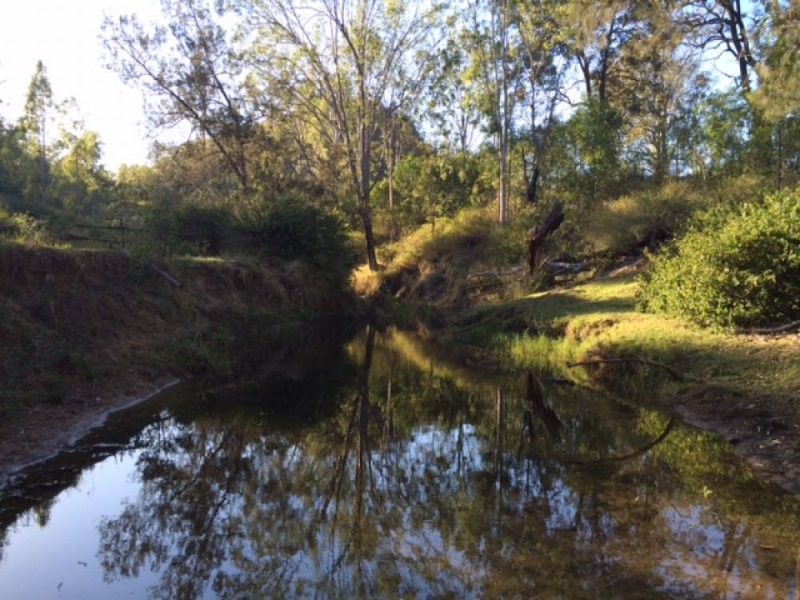 Lot 21 Wild Pig Creek Road, Undullah QLD 4285