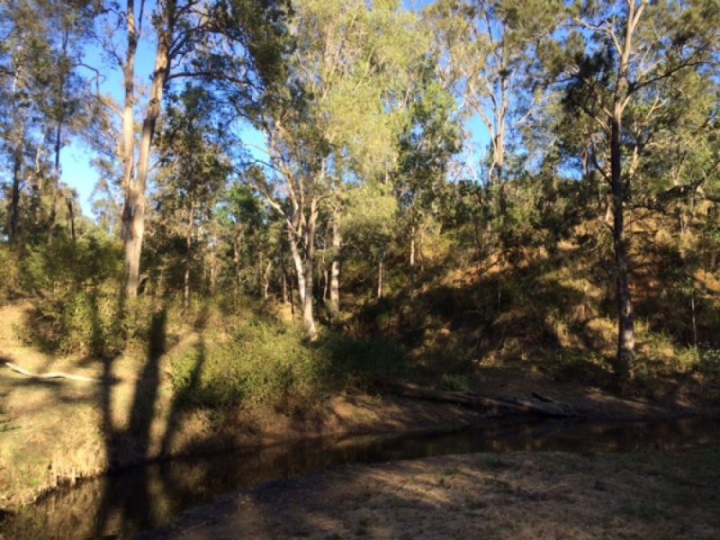 Lot 21 Wild Pig Creek Road, Undullah QLD 4285