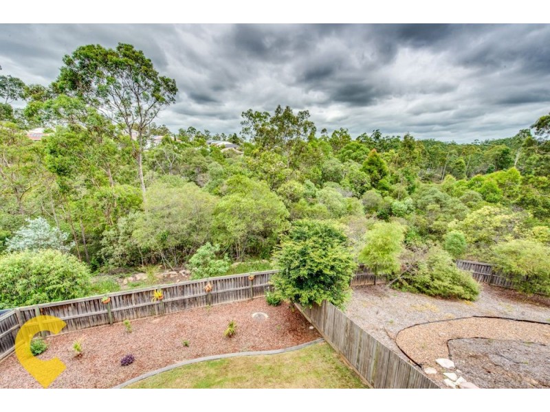 58 Congo Circuit, Springfield QLD 4300
