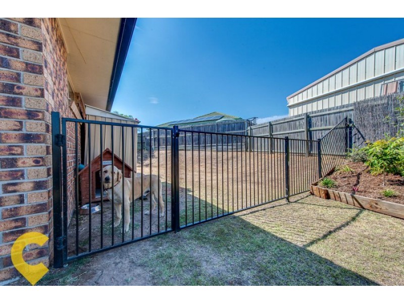 17 Yew Street, Yamanto QLD 4305