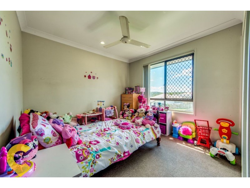 11 Harold Reinhardt Drive, Redbank Plains QLD 4301