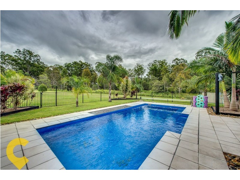 43 Bunya Court, Cedar Vale QLD 4285