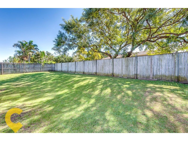 10 Lyrebird Close, Doolandella QLD 4077