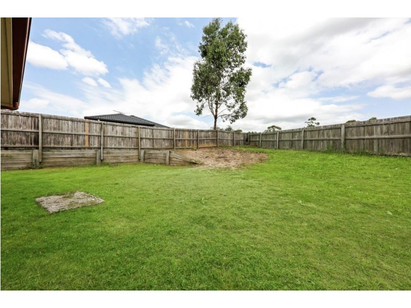 17 Barambah Court, Redbank Plains QLD 4301