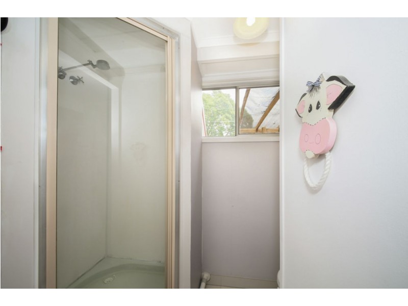 120 Nearra Street, Deagon QLD 4017