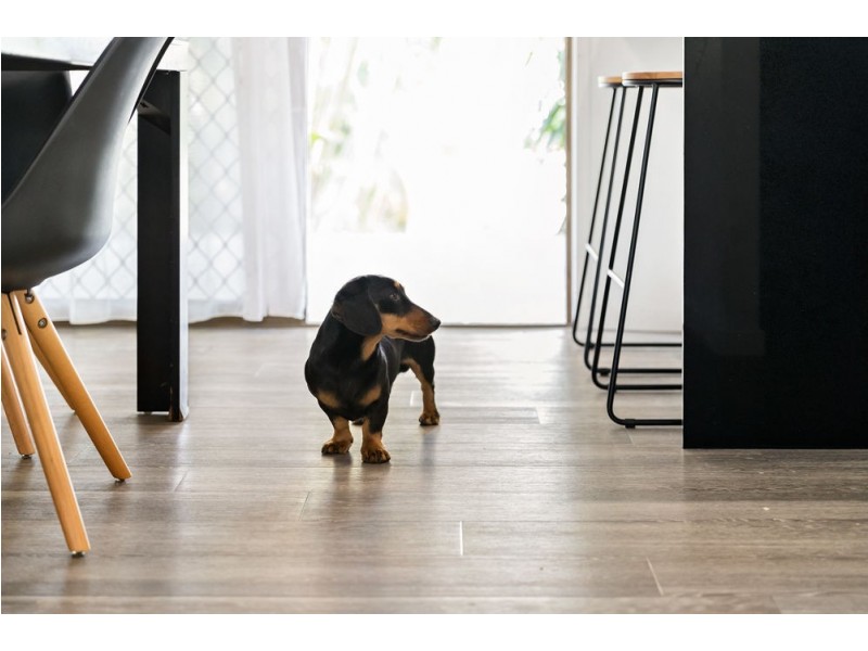 238 Barrett Street, Bracken Ridge QLD 4017