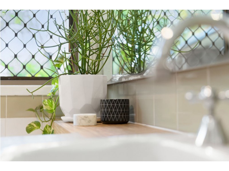 238 Barrett Street, Bracken Ridge QLD 4017