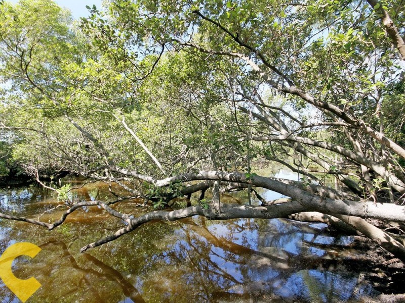 60 Station Road, Deagon QLD 4017