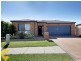 7 Aldea Circuit, Bracken Ridge QLD 4017