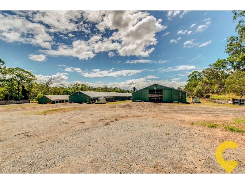 94 Park Ridge Rd, Park Ridge QLD 4125