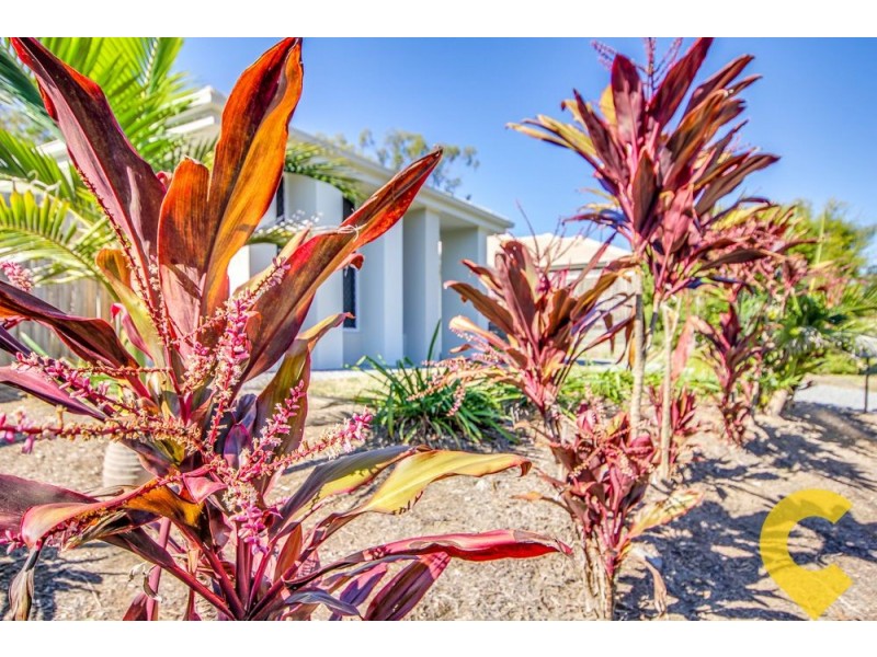 18 Lachlan Lane, Hillcrest QLD 4118