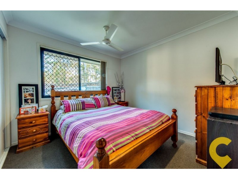 313 Eagle Street, Collingwood Park QLD 4301