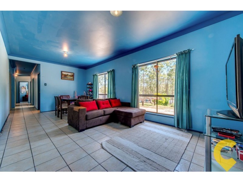 29 Echidna Court, Greenbank QLD 4124