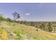 10 Fradgley Court, Ormeau Hills QLD 4208
