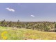 10 Fradgley Court, Ormeau Hills QLD 4208