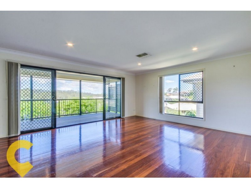 67 Drydock, Springfield Lakes QLD 4300