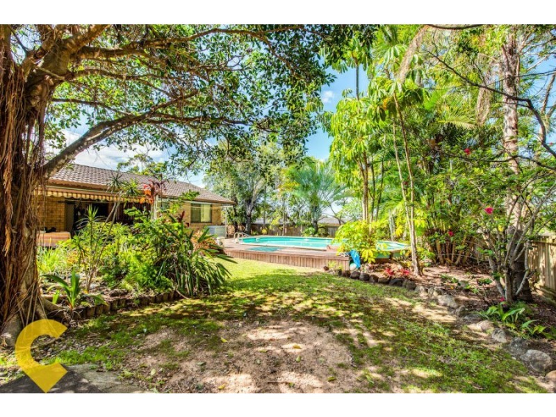 52 Achillies Drive, Springwood QLD 4127