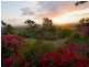 65 Forbes Avenue, Frenchville QLD 4701