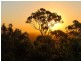 65 Forbes Avenue, Frenchville QLD 4701