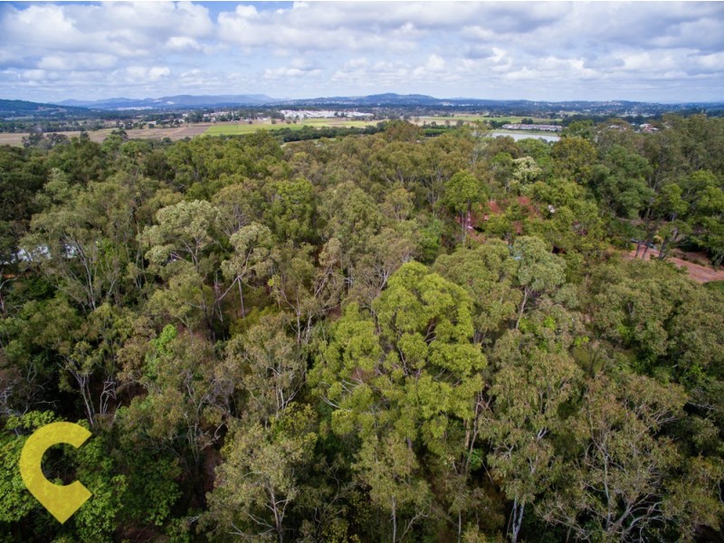 6 Koel Close, Cornubia QLD 4130