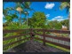 77 Grout Street, Macgregor QLD 4109