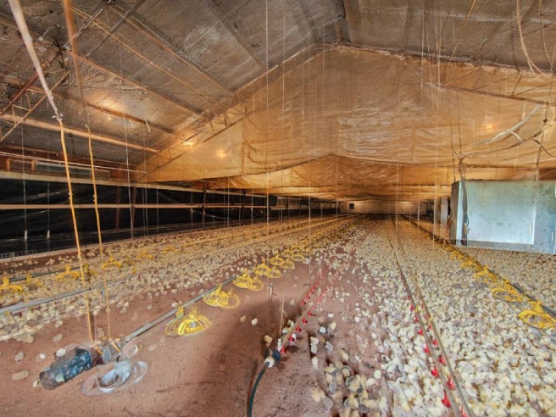 140 Park Ridge Road, Park Ridge QLD 4125