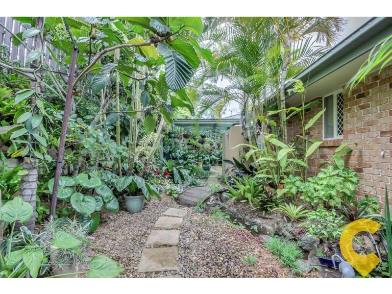 17 Rio Court, Underwood QLD 4119