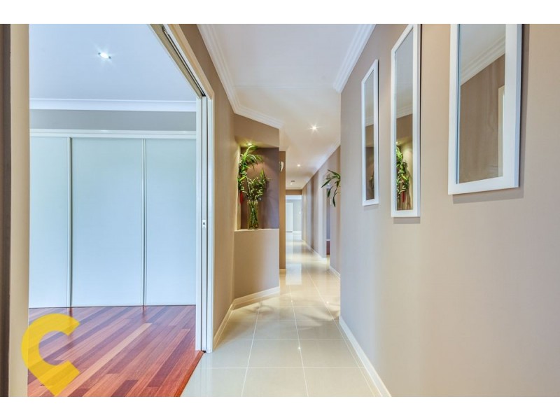 51 Laurieston Steet, Sunnybank Hills QLD 4109