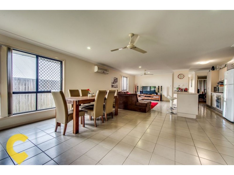 10 Sandi Street, Oxley QLD 4075