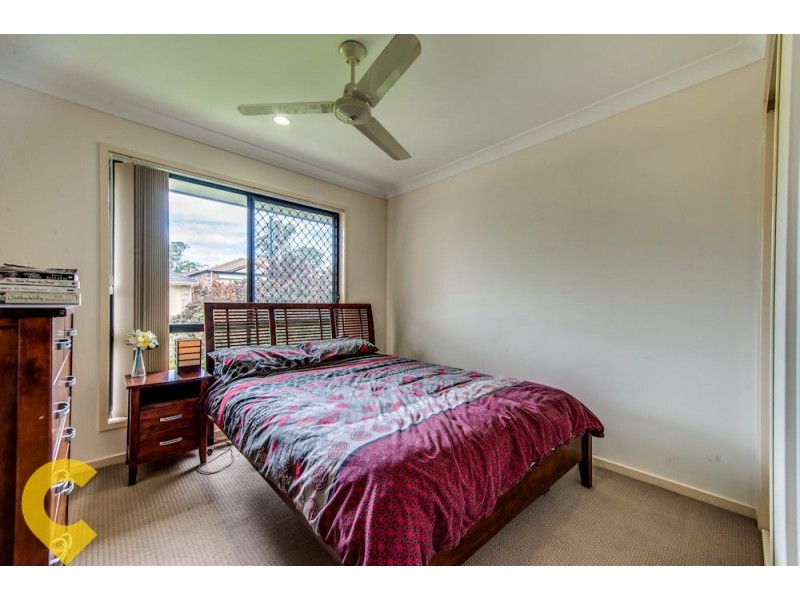 10 Sandi Street, Oxley QLD 4075