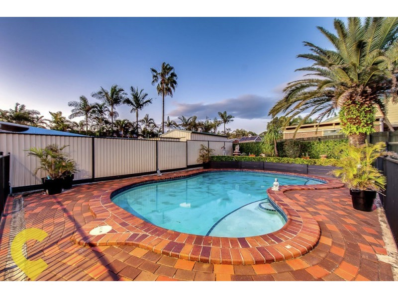 42 Laurel Oak Drive, Algester QLD 4115